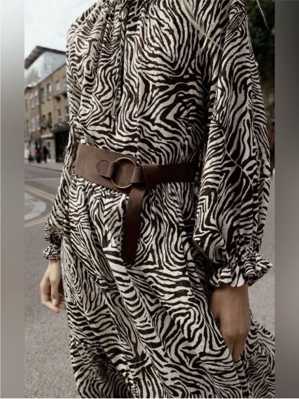 Zara Zebra Animal Print Belted Midi Dress L NWT - Picture 6 of 11